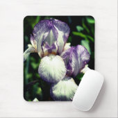 Bartete Iris Pair-Blume Mousepad (Mit Mouse)