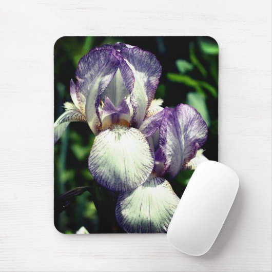 Bartete Iris Pair-Blume Mousepad (Mit Mouse)