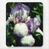 Bartete Iris Pair-Blume Mousepad (Vorne)