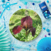 Bartete Iris-Papierplatte Pappteller (Party)