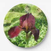 Bartete Iris-Papierplatte Pappteller (Vorderseite)