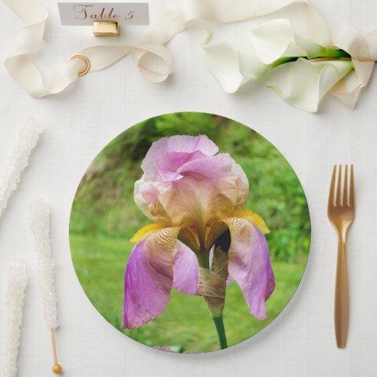 Bartete Iris-Papierplatte Pappteller (Hochzeit)