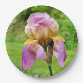 Bartete Iris-Papierplatte Pappteller (Vorderseite)