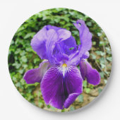 Bartete Iris-Papierplatte Pappteller (Vorderseite)