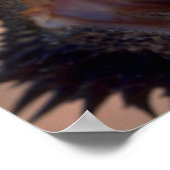 Barteter Drache, Australien Poster (Ecke)