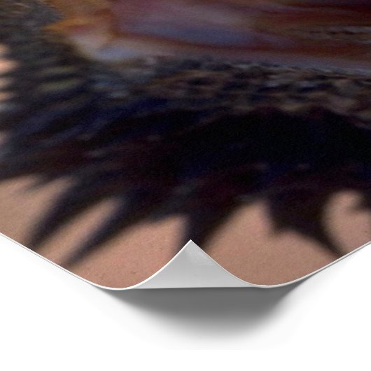 Barteter Drache, Australien Poster (Ecke)