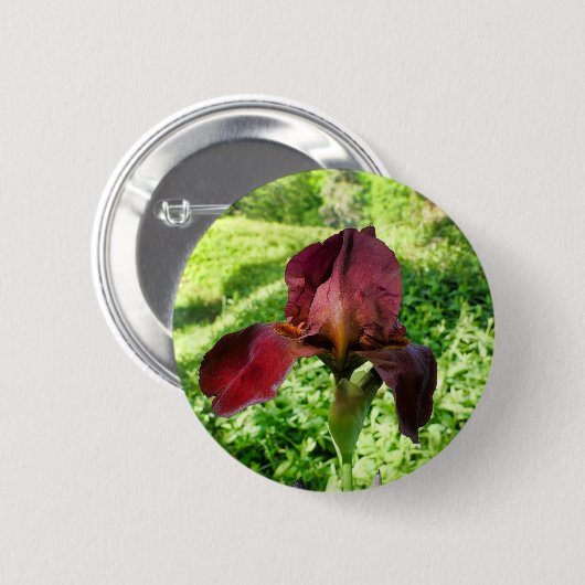 Bartetes Iris-Abzeichen Button (Vorne & Hinten)