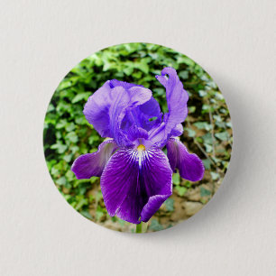 Bartetes Iris-Abzeichen Button