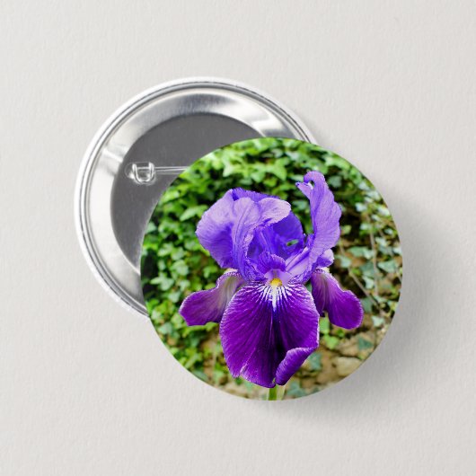 Bartetes Iris-Abzeichen Button (Vorne & Hinten)