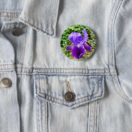 Bartetes Iris-Abzeichen Button (Beispiel)