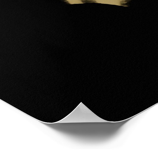 Bartgeier Poster (Ecke)