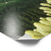 Bartgrass bei Logan Pass, Gacier National Fotodruck (Ecke)