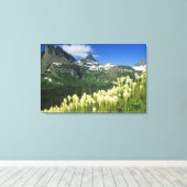 Bartgrass bei Logan Pass, Gacier National Leinwanddruck (Insitu (Holzboden))