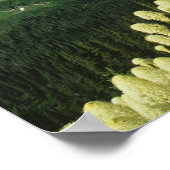 Bartgrass bei Logan Pass, Gacier National Poster (Ecke)
