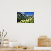 Bartgrass bei Logan Pass, Gacier National Poster (Küche)