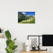Bartgrass bei Logan Pass, Gacier National Poster (Heimbüro)