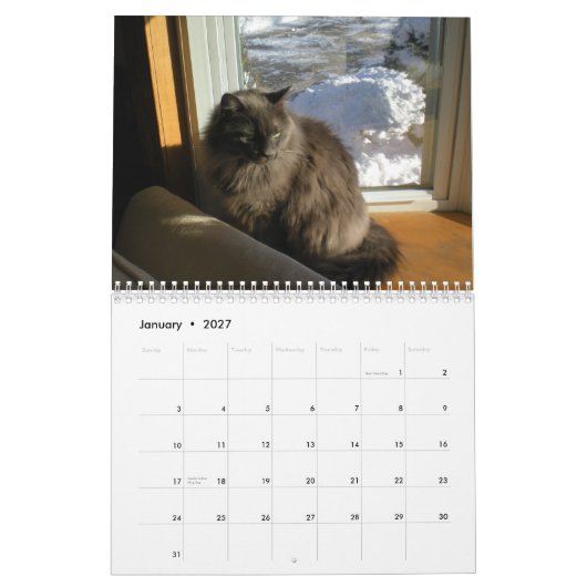 Bartholomew 2011 kalender (Jan 2027)