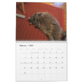 Bartholomew 2013 kalender (Feb 2027)