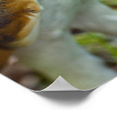 Bartholzposter Poster (Ecke)