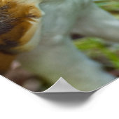 Bartholzposter Poster (Ecke)