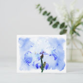 Barti - blau und weiß postkarte (Stehend Vorderseite)