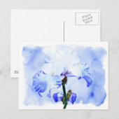 Barti - blau und weiß postkarte (Vorne/Hinten)