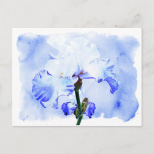 Barti - blau und weiß postkarte