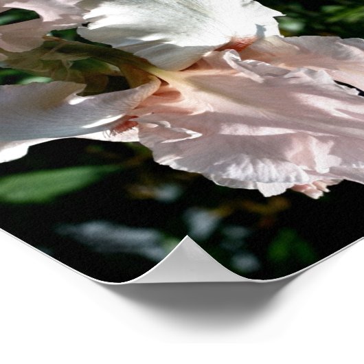 Barti-Blume Nah Abstrakt Poster (Ecke)