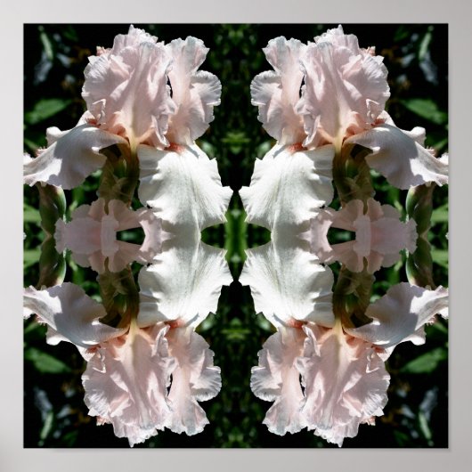 Barti-Blume Nah Abstrakt Poster (Vorne)