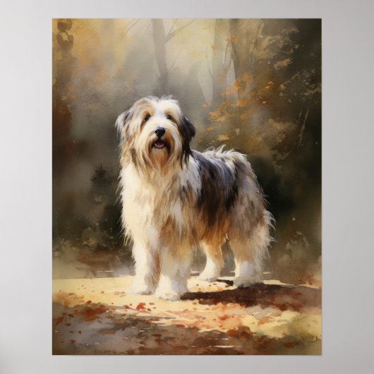 Barti Collie Dog Art Print Poster (Vorne)