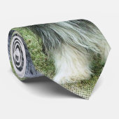bärtige Collie Krawatte (Gerollt)