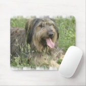Bärtige Collie-Mausunterlage Mousepad (Mit Mouse)