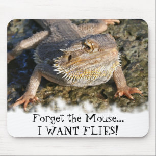 Bärtige Drache-Reihe Mousepad
