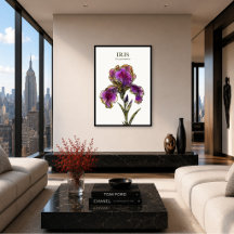 Bärtige Iris Botanischer Kunstdruck
