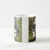 Bärtiger Collie auf der LaufTasse Kaffeetasse (Mittel)