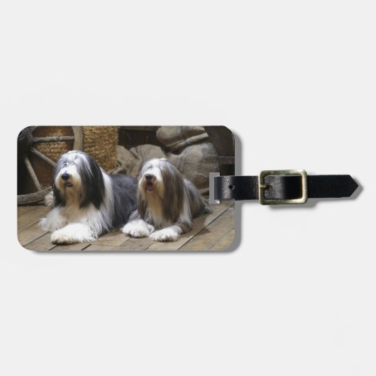 Bärtiger Collie Gepäckanhänger (Vorderseite horizontal)