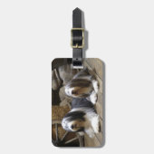 Bärtiger Collie Gepäckanhänger (Vorderseite vertikal)