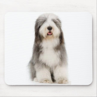 Bärtiger Collie Mousepad
