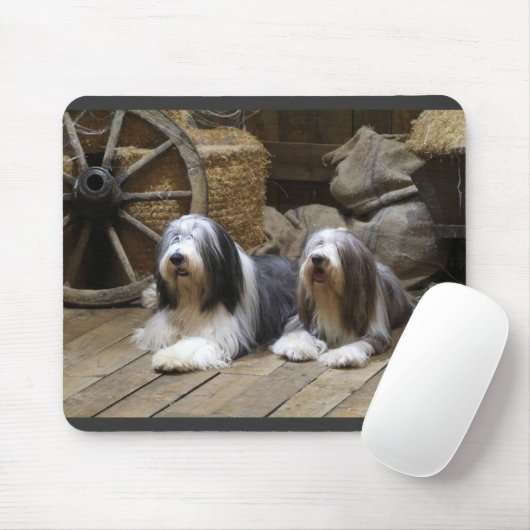 Bärtiger Collie Mousepad (Mit Mouse)