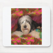 Bärtiger Collie Mousepad (Vorne)