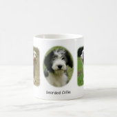 Bärtiger Collie x 3 Kaffeetasse (Mittel)