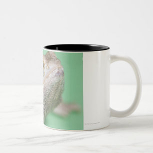 Bärtiger Drache 2 Zweifarbige Tasse