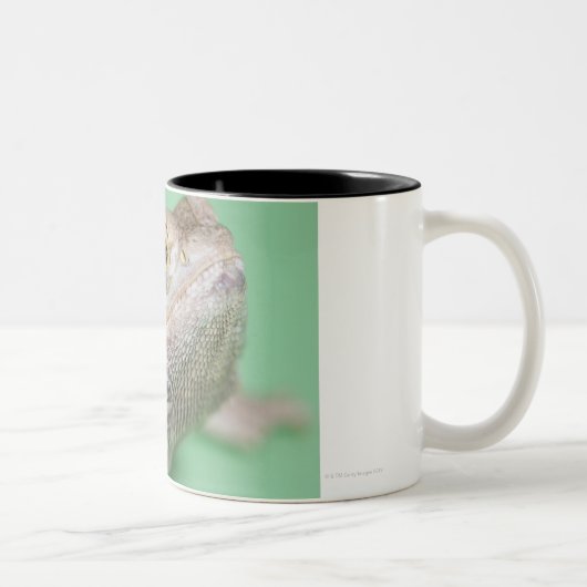 Bärtiger Drache 2 Zweifarbige Tasse (Rechts)