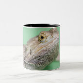 Bärtiger Drache 2 Zweifarbige Tasse (Mittel)
