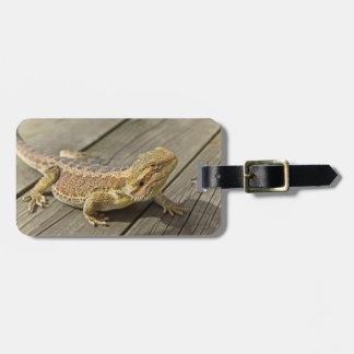 Bärtiger Drache auf etwas Holz Gepäckanhänger