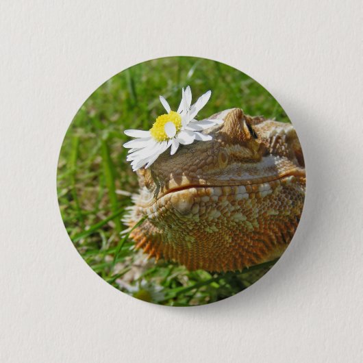 Bärtiger Drache Button (Vorderseite)