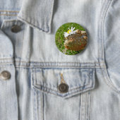Bärtiger Drache Button (Beispiel)