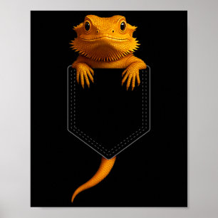 Bärtiger Drache Cket Süße Exotische Eidechse Repti Poster