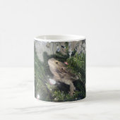 bärtiger Drache herauf Weihnachtsbaum Kaffeetasse (Mittel)