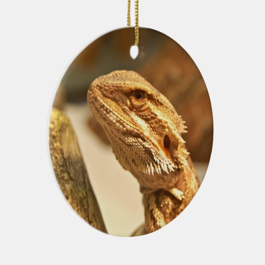 Bärtiger Drache Keramik Ornament (Rechts)